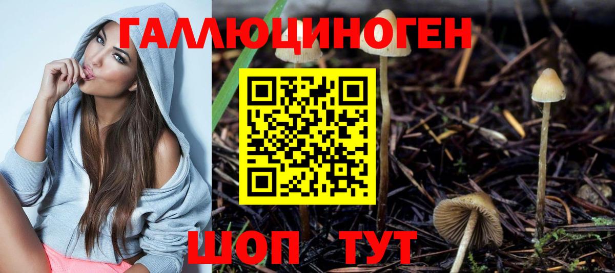 Псилоцибиновые грибы Psilocybine cubensis Топки